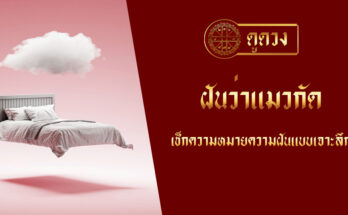 ฝันว่าแมวกัด