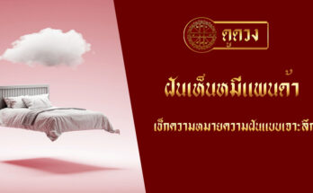 ฝันเห็นหมีแพนด้า
