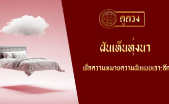 ฝันเห็นทุ่งนา