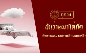 ฝันว่าหมาไล่กัด