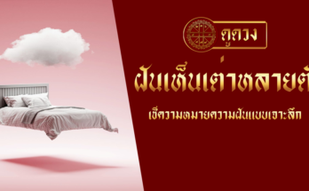ฝันเห็นเต่าหลายตัว