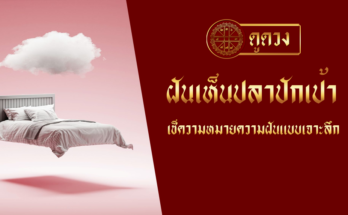 ฝันเห็นปลาปักเป้า