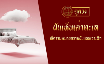 ฝันเห็นเต่าทะเล