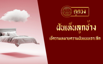 ฝันเห็นลูกช้าง