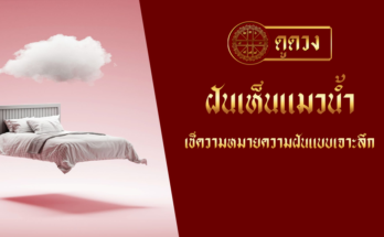 ฝันเห็นแมวน้ำ