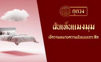 ฝันเห็นแมงมุม